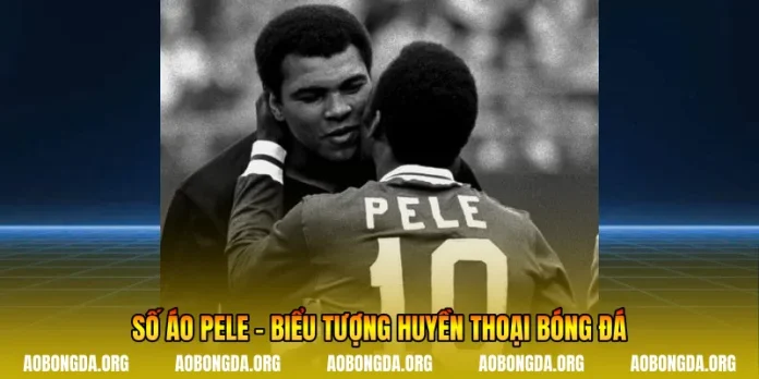 Số Áo Pele - Biểu Tượng Huyền Thoại Bóng Đá