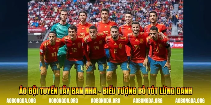 Áo Đội Tuyển Tây Ban Nha - Biểu Tượng Bò Tót Lừng Danh